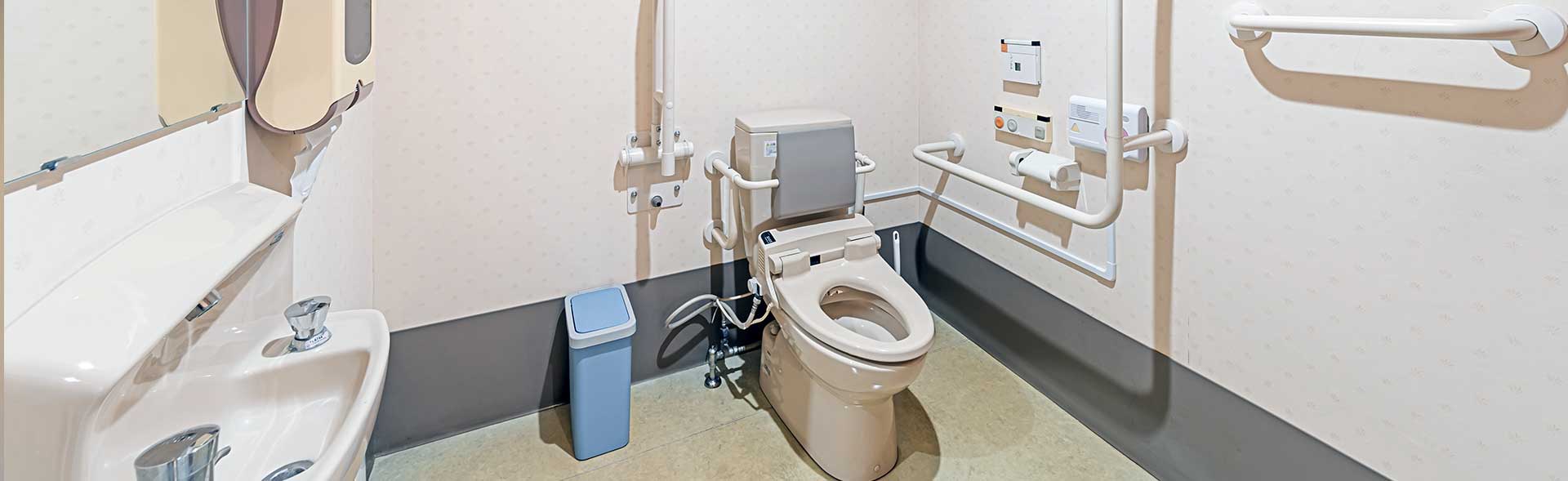 Bidet Toilet for Elderly People