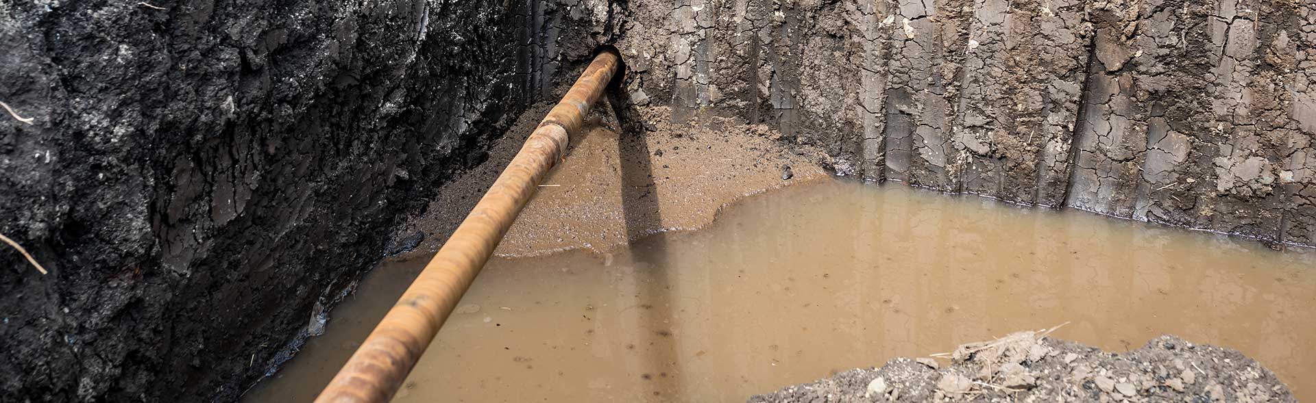 Sewer Line Damage